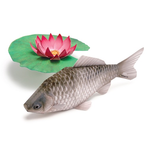 붕어와 연꽃 종이모형 만들기(DIY 페이퍼 크래프트 어류 물고기)