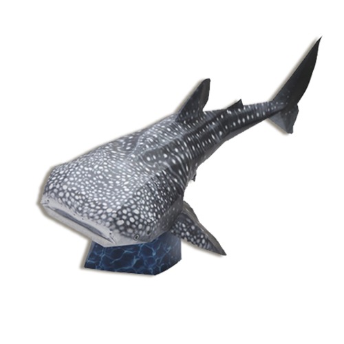 고래상어 만들기(DIY 페이퍼 크래프트 아쿠아리움 수족관 바다동물)