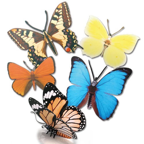 나비5종 만들기 (DIY 곤충 생물 자연 수업 체험학습)