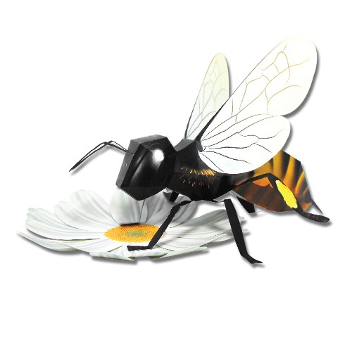 벌 만들기 (DIY 곤충 생물 자연 수업 체험학습)
